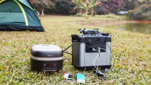 公司的多樣性——尺寸和類型的多樣性。這是鋰電池電源的另一個(gè)最有利的優(yōu)勢(shì)-鋰離子電站